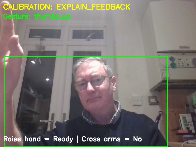Gesture calibration screen